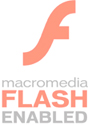 Tecnologia Flash